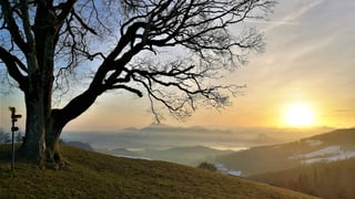 Die Top 3 (Artikel enthält Bildergalerie)