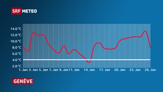 Der Verlauf der Januartemperatur in Genf. An lediglich einem Tag sinkt der rote Temperaturverlauf unter die weisse Linie der Norm.
