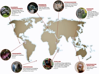 Karte mit den verschiedenen Projekten des Zoos Zürich. Karte mit den verschiedenen Projekten des Zoos Zürich.