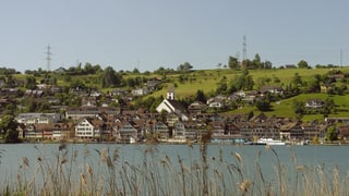 Ansich von Schmerikon mit See im Vordergrund.
