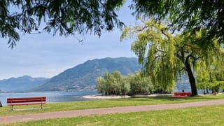 Nahezu wolkenloser Lago Maggiore am Freitag. Nahezu wolkenloser Lago Maggiore am Freitag.