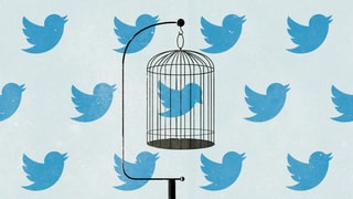 Twitter-Vögeln auf einer Tapete. Ein Twitter-Vögelchen ist in einem Käfig eingesperrt. Twitter-Vögeln auf einer Tapete. Ein Twitter-Vögelchen ist in einem Käfig eingesperrt.