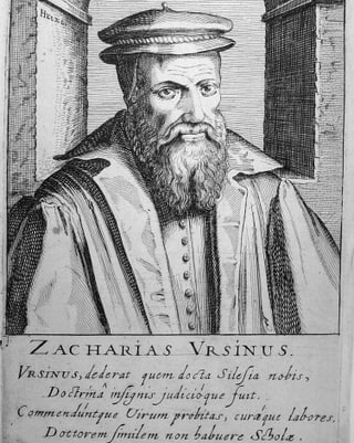 Portrait von Zacharias Ursinus. Portrait von Zacharias Ursinus.