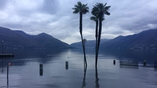 Überflutete Uferpromenade in Ascona. Die Palmen stehen im Wasser. Überflutete Uferpromenade in Ascona. Die Palmen stehen im Wasser.