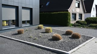 Schottergarten in Deutschland Schottergarten in Deutschland