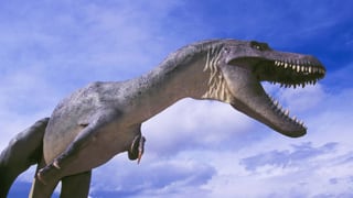 Statue eines Tysannosaurus Rex