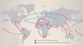 Migration weltweit