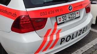 Heck eines Polizeiautos. Heck eines Polizeiautos.
