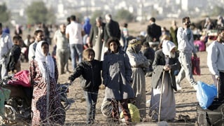 Flüchtlinge in der Nähe der syrisch-türkischen Grenze. Flüchtlinge in der Nähe der syrisch-türkischen Grenze.