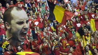 Die Belgier feiern mit einem riesigen Porträt von Steve Darcis.
