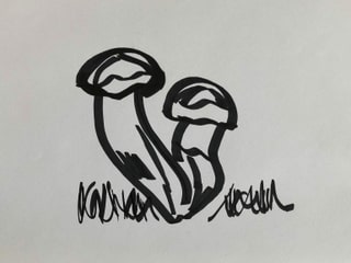 Zeichnung mit zwei Matsutake-Pilzen Zeichnung mit zwei Matsutake-Pilzen