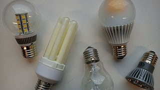 Verschiedene Energiesparlampen liegen auf einer weissen Platte Verschiedene Energiesparlampen liegen auf einer weissen Platte