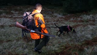 Mann und Hund Mann und Hund