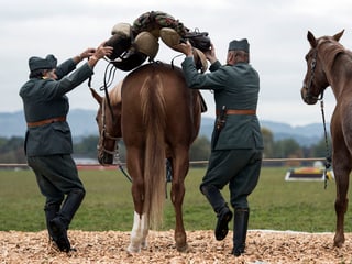 Zwei Soldaten in alten Armeeuniformen satteln ein Pferd.