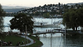Die Zürcher Landiwiese umringt vom Zürichsee. Die Zürcher Landiwiese umringt vom Zürichsee.