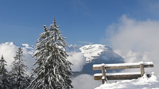 Panoramabild mit einer Bank und Fichten unter dem Neuschnee. Dazu Nebelschwaden.