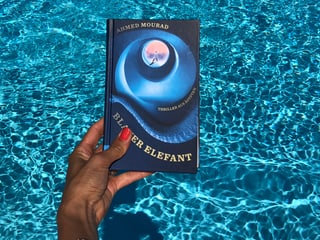 Annette König hält das Buch von Achmed Mourad: «Blauer Elefant» vor blaues Wasser Annette König hält das Buch von Achmed Mourad: «Blauer Elefant» vor blaues Wasser