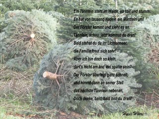 Adventsgedicht auf Hintergrund.