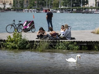 Jugendliche sitzen am Ufer eines Sees, im Vordergrund schwimmt ein Schwan vorüber