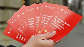 Volksabstimmung vom 7. März - Kantone: Streit um Parole ...
