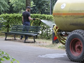 A man watering a bush with a hose.