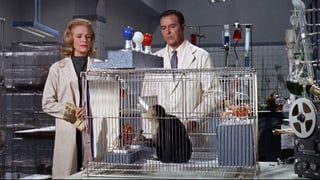 Ein Mann und eine Frau in einem Labor betrachten einen Affen im Käfig.
