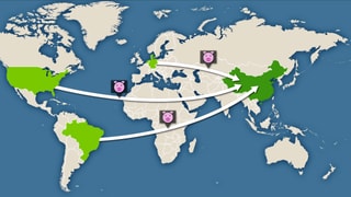 Weltkarte, worauf die USA, Brasilien, Dänemark, Deutschland und die Niederlande markiert sind. Von ihnen aus gehen Pfeile in Richtung China. Die Pfeile sind mit Schweine-Icons ergänzt.