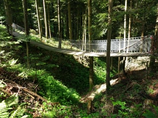 Kleine Hängebrücke im Wald