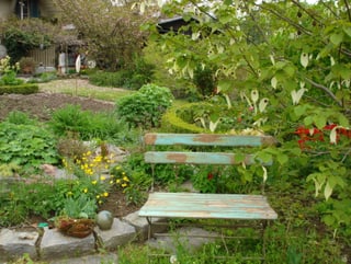Garten mit alter Holzbank.