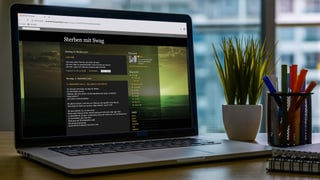 Screenshot eines Blogs Screenshot eines Blogs