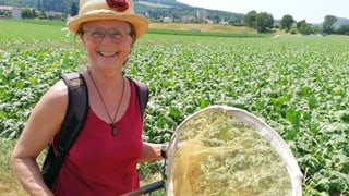 Frau mit Fangnetz Frau mit Fangnetz