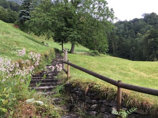 Weg der Schweiz