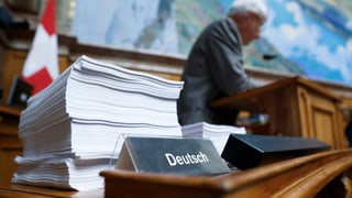 Stapel mit Papieren auf Deutsch im Nationalratssaal. 