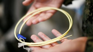 Zwangsernährung: Die Nahrung wird über einen Schlauch durch die Nase zugeführt. Zwangsernährung: Die Nahrung wird über einen Schlauch durch die Nase zugeführt.