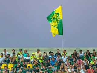 Fans von AEK Larnaka