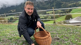 Safranproduzent Durrer sitzt in der Hocke auf einem Feld mit einem Korb in der Hand. Safranproduzent Durrer sitzt in der Hocke auf einem Feld mit einem Korb in der Hand.