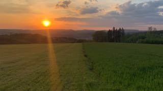 Milder Verlauf der Pandemie im Aargau: Warum?