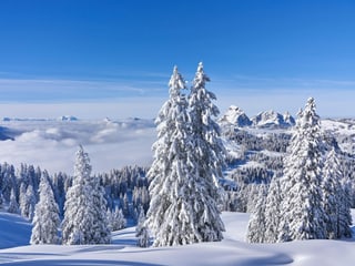Verschneite Berglandschaft mit Tannen, blauem Himmel und Nebel im Tal