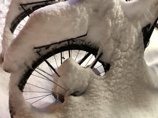 Ein ein Velo im Schnee.