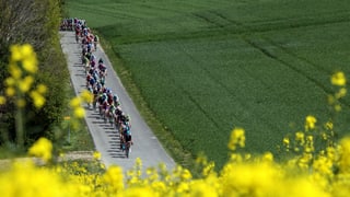 Der Parcours der Tour de Romandie 2014 verspricht spannenden Rad-Rennsport.