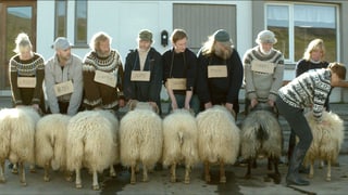Schafe in einer Reihe. Hinter ihnen sind ihre Besitzer.