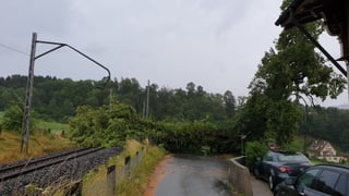 Ein umgefallener Baum versperrt die Durchfart in Stansstad.. Ein umgefallener Baum versperrt die Durchfart in Stansstad..
