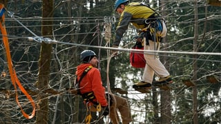 Zwei Teilnehmer im Park, viele Seile im Vordergrund