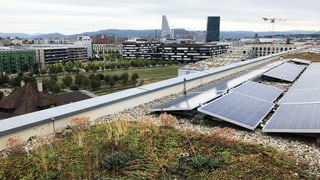 Dachbegrünung in der Stadt Basel Dachbegrünung in der Stadt Basel