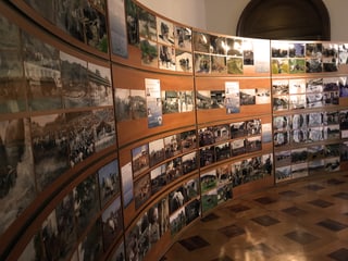 Wand mit Fotos von verschiedenen Kuhrassen