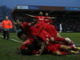 Jubeltraube der Harriers