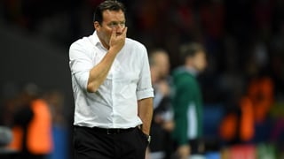 Marc Wilmots