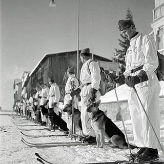Eine Reihe von Soldaten auf Skiern im Schnee, jeder einen Lawinenhund an seiner Seite.