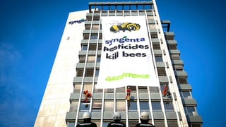 Aufnahme der Fassade des Syngenta-Firmensitzes in Basel. Ein Greenpeace-Transparent hängt an der Fassade herunter. Darauf zu lesen ist: «Syngenta pesticides kill bees».