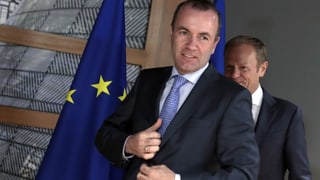 Manfred Weber Manfred Weber